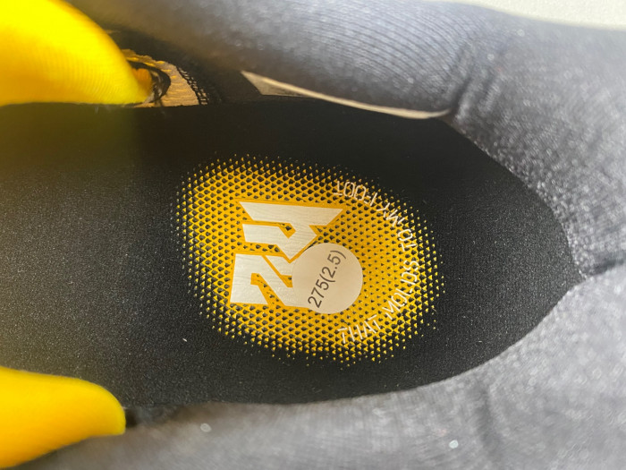 zoom kobe 6 